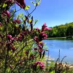 Panoráma Hotel Noszvaj Noszvaj - Medence/kert