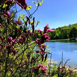 Panoráma Hotel Noszvaj Noszvaj - Medence/kert