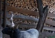 Páratlan Apartmanház Szilvásvárad