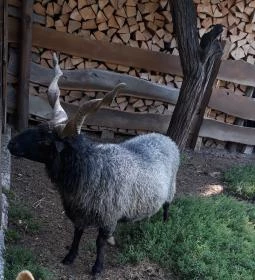 Páratlan Apartmanház