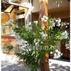 Páratlan Apartmanház Szilvásvárad - Környék