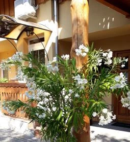 Páratlan Apartmanház