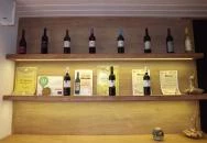 7773 Borászat & Borbár Villány