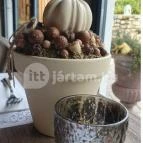 84 Bisztró Kapolcs - Egyéb