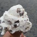 Adria Fagyizó Székesfehérvár - Étel/ital