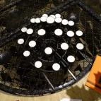 Adullám Kávézó Vác - Egyéb