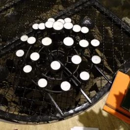 Adullám Kávézó Vác - Egyéb