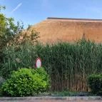 Akasztói Horgászpark & Halascsárda Akasztó - Egyéb