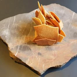 Alabárdos Étterem Szeged - Egyéb