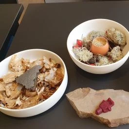 Alabárdos Étterem Szeged - Egyéb