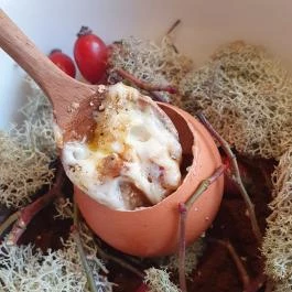 Alabárdos Étterem Szeged - Egyéb