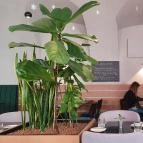 Alabárdos Étterem Szeged - Egyéb