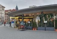 Alapozó Bar Budapest Alapozó Bar Budapest