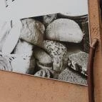 Alfi Pékség Mezőtúr - Egyéb