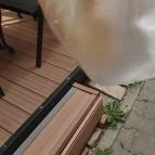 Alfi Pékség Mezőtúr - Egyéb