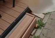 Alfi Pékség Mezőtúr