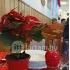 Algyői Halászcsárda Algyő - Egyéb