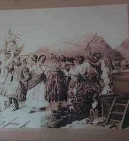 Ali Borozó 1921
