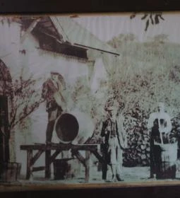 Ali Borozó 1921