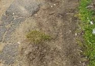 Alibi Drinkbár Anarcs