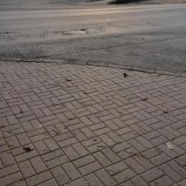 Állomás Büfé Göd - Egyéb