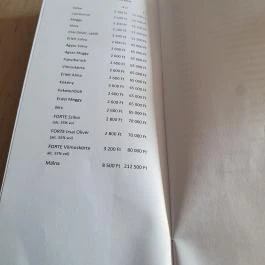 Almádi Yacht Club Kikötő Étterem Balatonalmádi - Egyéb