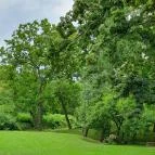 Almalomb Kulináris Kitérő & Találkozóhely Hosszúhetény - Külső kép