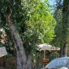 Amígó Presszó Szeged - Egyéb