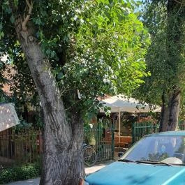 Amígó Presszó Szeged - Egyéb