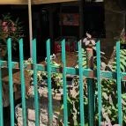 Amígó Presszó Szeged - Egyéb