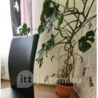 Ámor Fagylaltozó & Cukrászda Lajosmizse - Belső