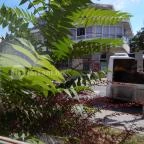 Andrész Cukrászda Budakeszi - Külső kép