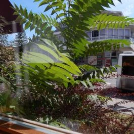 Andrész Cukrászda, Budakeszi - Külső kép