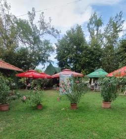 Anna Büfé Tőserdő