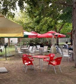 Anna Büfé Tőserdő