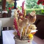 Anno Taverna Balatonszárszó - Külső kép