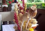 Anno Taverna Balatonszárszó