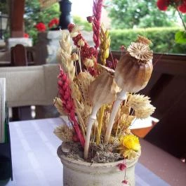 Anno Taverna Balatonszárszó - Külső kép