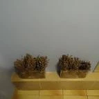 Anyám Szerint Budapest - Egyéb