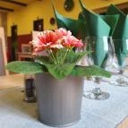 Aradi kisvendéglő Szeged - Egyéb