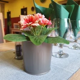 Aradi kisvendéglő Szeged - Egyéb