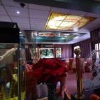 Arany Főnix Korlátlan Fogyasztás Grill & Wok Étterem Érd - Belső