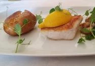 Aranypatkó Kisvendéglő Szigliget