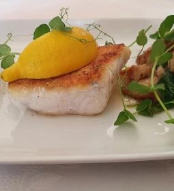 Aranypatkó Kisvendéglő