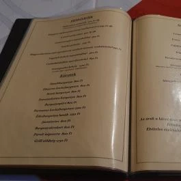 Aranypatkó Vendéglő Albertirsa - Egyéb