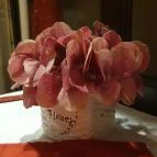 Aranypatkó Vendéglő Albertirsa - Egyéb