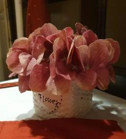 Aranypatkó Vendéglő