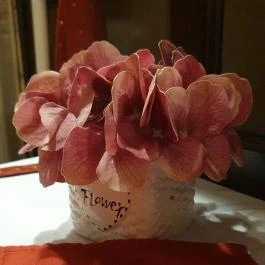 Aranypatkó Vendéglő Albertirsa - Egyéb