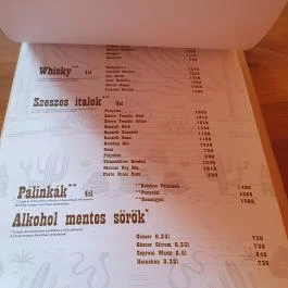 Arizona Pizzéria és Hamburgéria, Cegléd - Egyéb