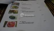 Aroy-Thai Restaurant & Sushi Bar Budapest - Étlap/itallap